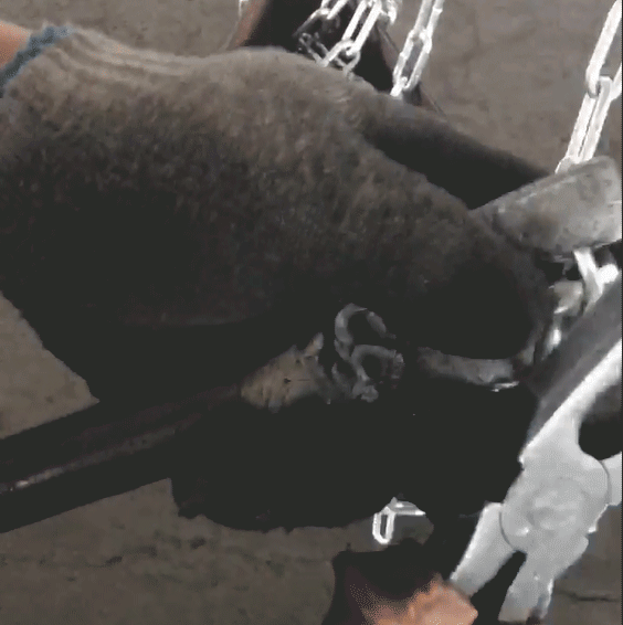 群吊电动葫芦的禁区