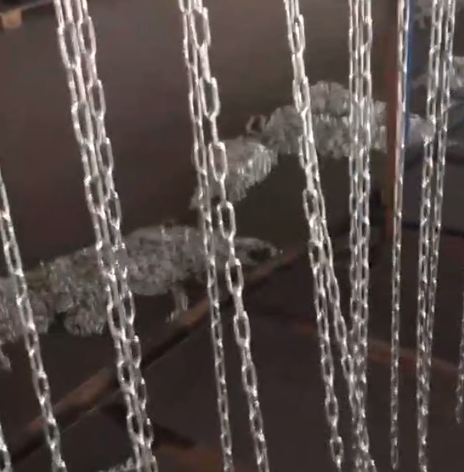 为什么群吊葫芦这么深受欢迎呢？