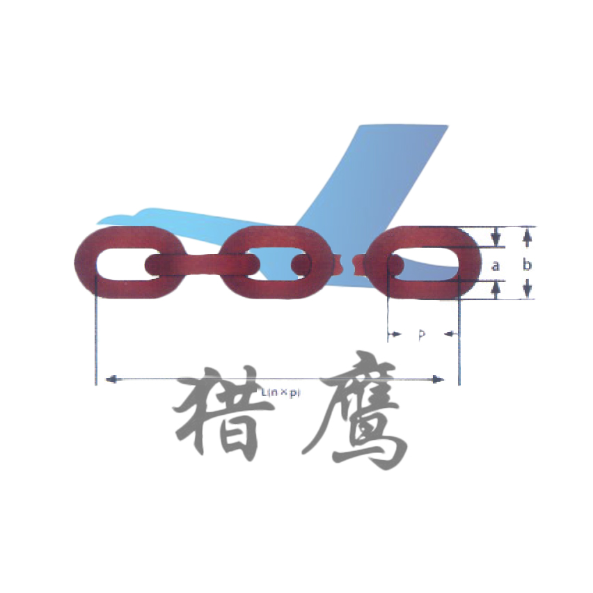 T级( T、DAT和DT型)高精度葫芦链( T级数据)
